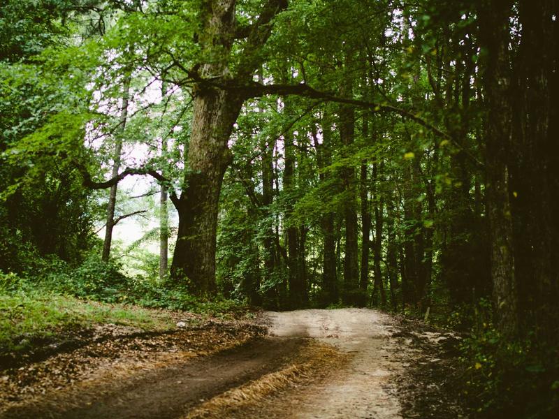 Hotel property photo showing nairobi-23
